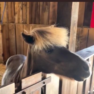 nJmH7WxurfpTlI5's profile picture. ナンパ合流歓迎