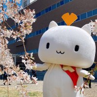彦根東高校 新聞部/ぎんにゃん (@hh_studentpress) 's Twitter Profile