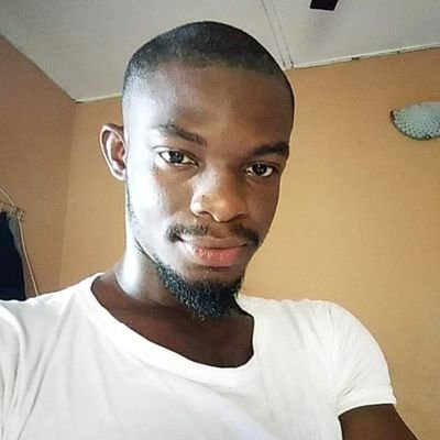 Bahaushe Historian ABU Zaria Alumnus Freelance artist Diplomat Humanitarian