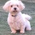 Roger Cooper (@rogerco76717020) Twitter profile photo Roger Cooper (@rogerco76717020) Twitter profile photo
