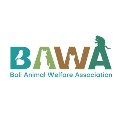 Bali Animal Welfare Association is a non-profit charity dedicated to saving the lives of thousands of animals in Bali. Help us help Bali's animals!