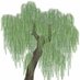 Willow Tree Class (@missperrylw) Twitter profile photo Willow Tree Class (@missperrylw) Twitter profile photo