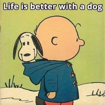 PHd in psychological trauma, firm believer in solution focused work. Some people are poorly because of their life's events, others create that drama.