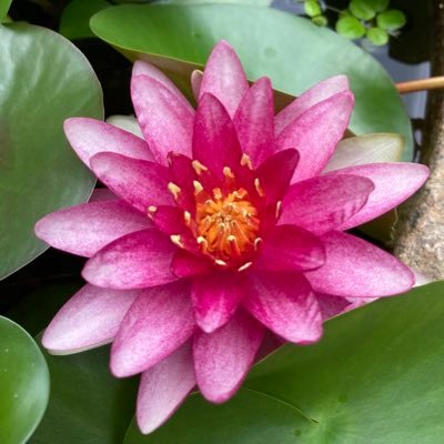 uskwusk's profile picture. 
