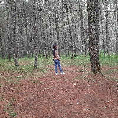 nanadianaaaa's profile picture. Forever @riqkyringgo♥