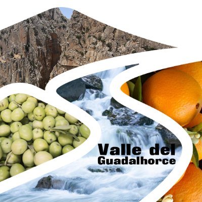 Actualidad, eventos, productos y servicios de Coín, Alhaurín el Grande, Pizarra, Cártama, Álora, Valle de Abdalajís y Almogía. Valle del Guadalhorce.