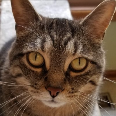 She/Her Other account suspended for too much honesty.