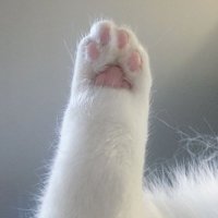 Erica Matos (@ericama04891193) 's Twitter Profile