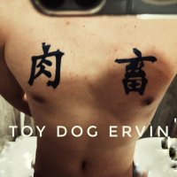 TOY DOG ERVIN (@ervin_mdog) 's Twitter Profile Photo