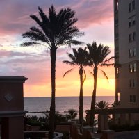 Kim Hubler (@hubler_kim) 's Twitter Profile