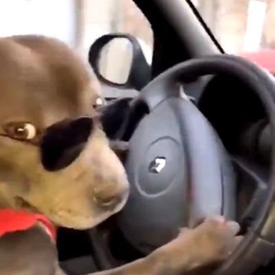 GuyGuyWailord2's profile picture. I lack the ability to think good about myself. This is just a place where i rant or talk about stuff. Gorp