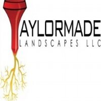 Jamel Taylor (@tmadelandscapes) 's Twitter Profile
