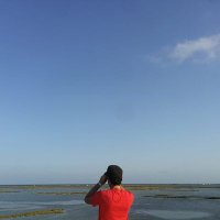 m. diaz de ilarraza (@mikelddi) 's Twitter Profile
