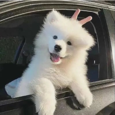 lynlng91896669's profile picture. 爱