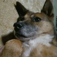 kaakun (@kaakun65776385) 's Twitter Profile Photo