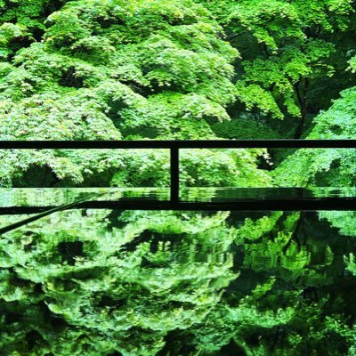 m_drheart's profile picture. 👩‍⚕️M.D. / Ph.D. / cardiology