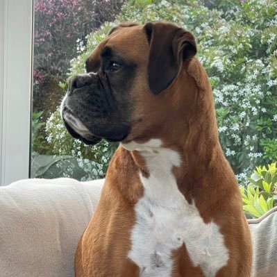 samj12's profile picture. live life well and make good memories & remember there is nothing wrong with being quiet, it is an art many are yet to master! Views are my own.