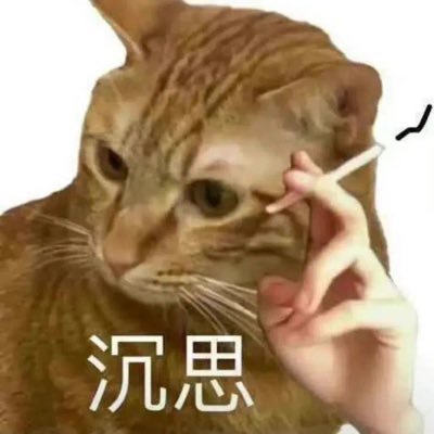 stefanzheng's profile picture. 
