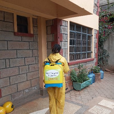 KENYA ~ 0725751307
•FUMIGATION; PEST CONTROL Services against Cockroaches, Mosquitoes, Bedbugs, flies
•SOFAS, Carpets Cleaning and Drying
•House Cleaning