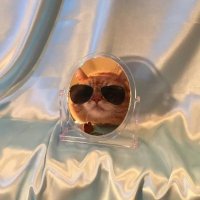 piducancore (@piducancore) 's Twitter Profile