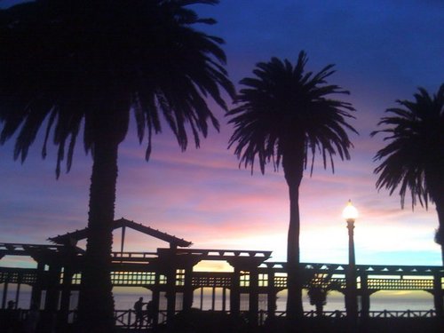 samshepincali's profile picture. 