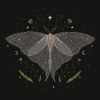 LUMAE (@lumaesl) 's Twitter Profile