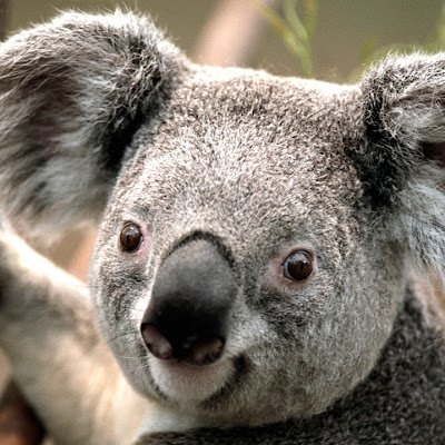 ManuTitiGuehi's profile picture. 