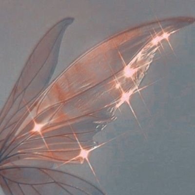 stefasas's profile picture. .memento mori.