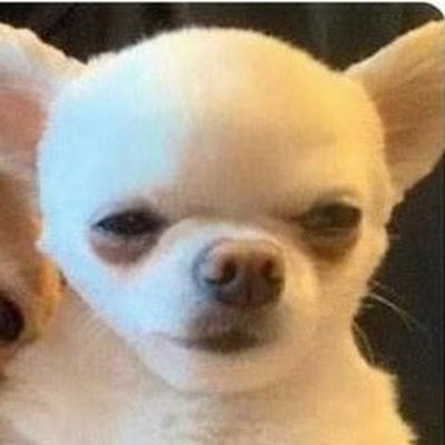 ElizabethBlacip's profile picture. 