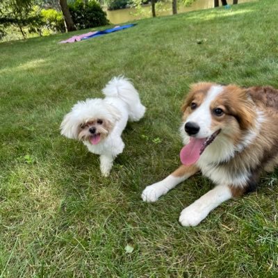 kira_puffy's profile picture. 