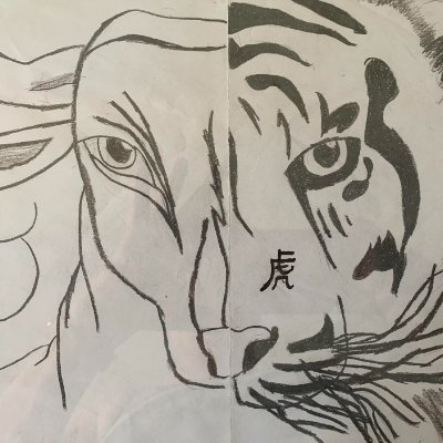 My daughter created the avatar, combining sun sign (Taurus) and Chinese sign (Tiger)
#FBR