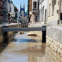 Die Lutter (@lutter_bi1) 's Twitter Profile