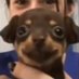 HS (@damccha) Twitter profile photo HS (@damccha) Twitter profile photo