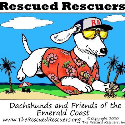 The Rescued Rescuers, Inc.is an all-volunteer organization located in the Panhandle of FL that exists for the sole purpose of rescuing unwanted dogs.