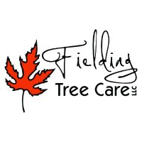 Fielding Tree Care LLC(@FieldingTrees) 's Twitter Profile Photo