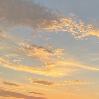 pMR221q's profile picture. 