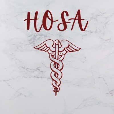 Robert E Lee HOSA 🩺 Your future health professionals, ran by the 21-22 officers!!