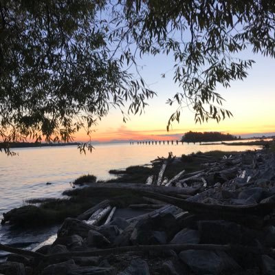 kookiewinkee's profile picture. the best is yet to be for my babies Kim Yoo Jung and Zhao Lusi