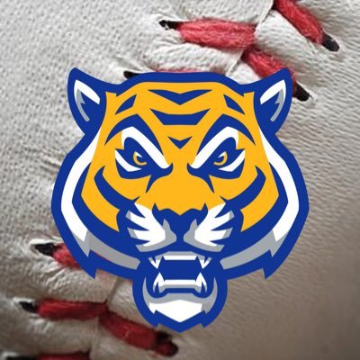 The official Twitter page of Hancock High School Baseball (MO).
See scores and pictures of your Tigers.

HHS Athletics: @HPTigers