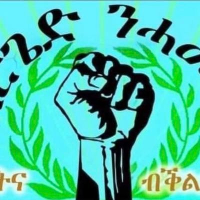 EdenTesfay13's profile picture. 