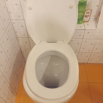 newfrengo's profile picture. 