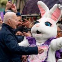 Sloppy Joe’s Easter Bunny (@iggyjreils_) 's Twitter Profile