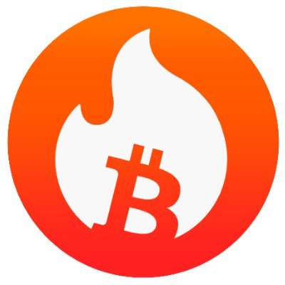 BitBurnReflectOfficial Profile