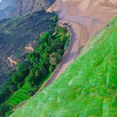 Cjw3F27VEHgUal2's profile picture. .