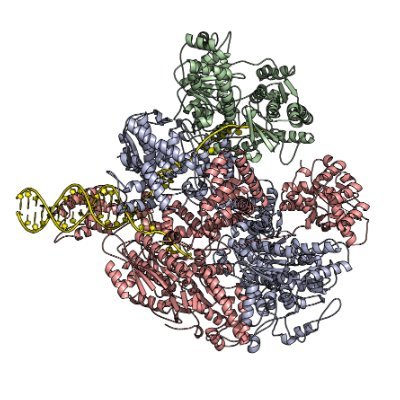 Twitter account for Mark Dillingham's Laboratory at the University of Bristol. We're interested in proteins that interact with DNA.