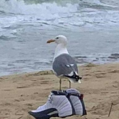 SSMcFresh's profile picture. Otay Otay