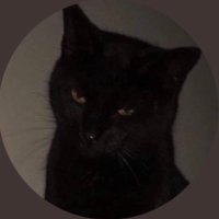 mahmudmahmud (@mahmudm96452575) Twitter profile photo