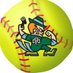 SHC Fightin' Irish Softball (@shc_irish_sb) Twitter profile photo