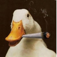 ᶠᵘⁿ ᴮᵒʸ (@vegasssbb) 's Twitter Profile
