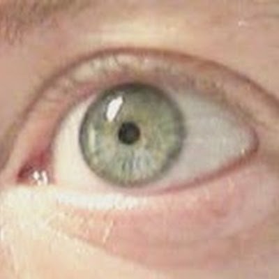 RCarrelhas's profile picture. 